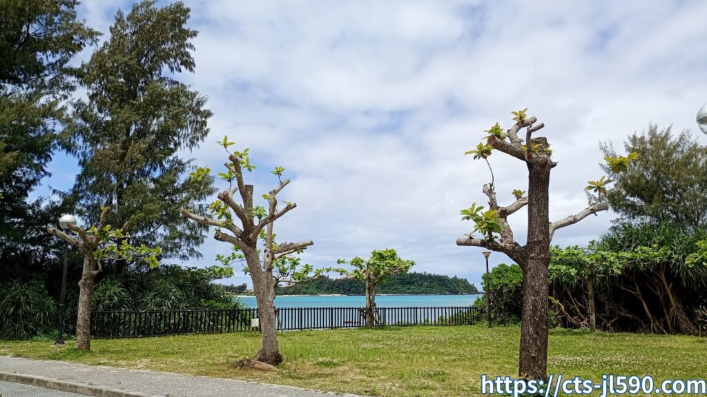 沖縄の海