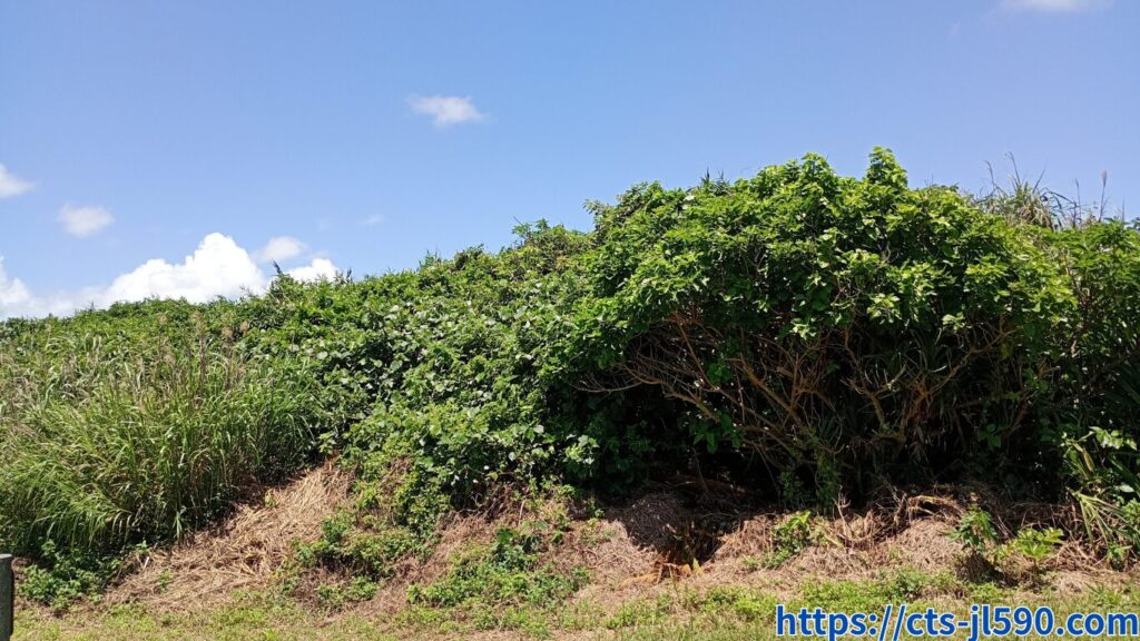 沖縄のビーチ