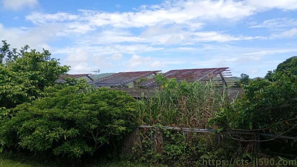 沖縄の自然